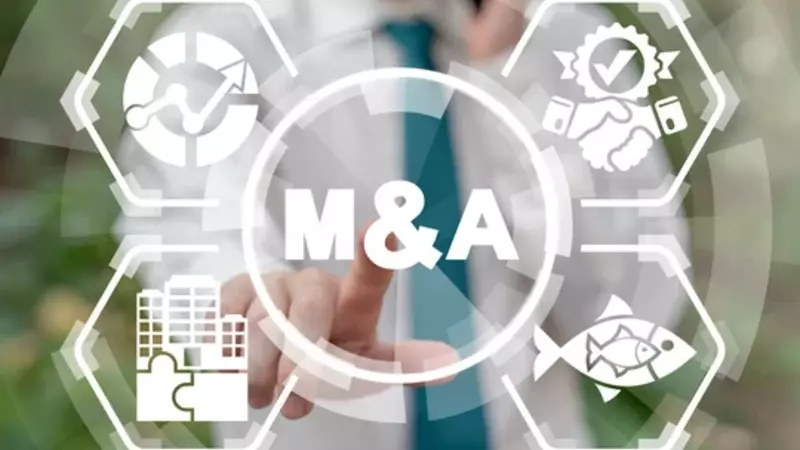 The Impact of Government Policies on M&A